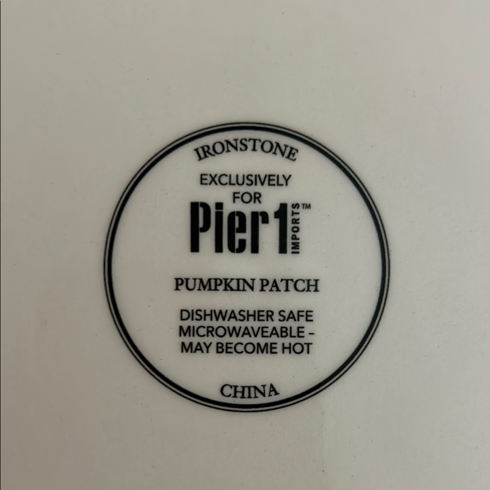 PIER 1 PUMPKIN PATCH PLATE - Picture 6 of 9
